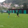 Juniores