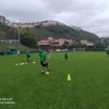 Juniores