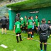 Leva2011