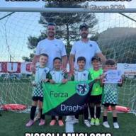 ⬛🟩🐉Piccoli Amici 2019 🖤💚🐉 Torneo di Bogliasco 